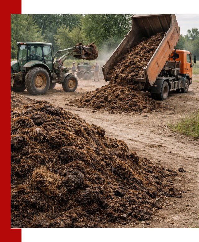 Доставка навоза самосвалами в Колпино для сельхозпотребностей